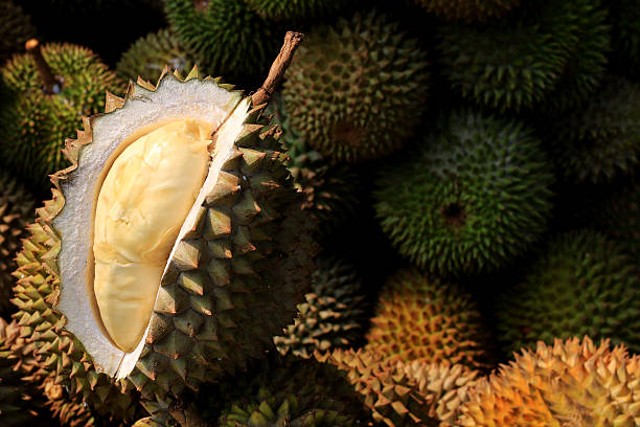 Ilustrasi ibu menyusui makan durian (Sumber: iStock)
