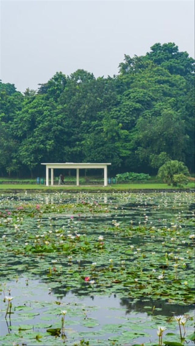 Rekomendasi Tempat Healing di Jabodatebek,  https://unsplash.com/@raw4mat