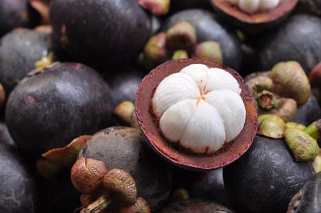 ﻿ilustrasi khasiat buah manggis ( sumber: https://pixabay.com/id/images/search/manggis/ )