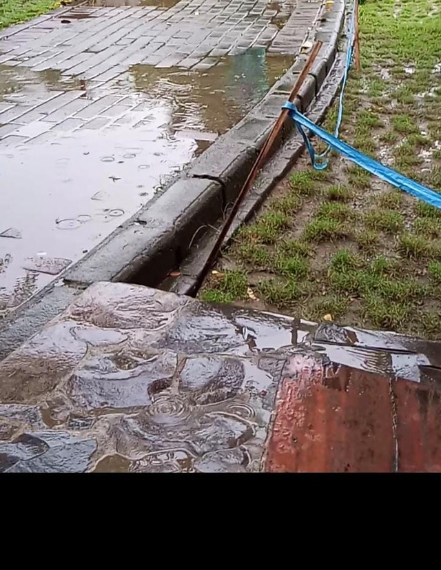 Foto hujan di sebuah taman(sumber: foto saya ambil dari telepon genggam pribadi)