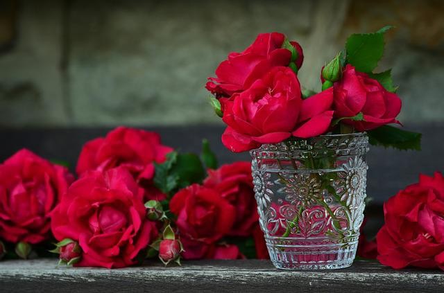gambar mawar merah sumber: pixabay