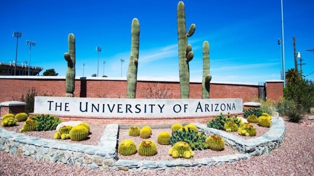 University of Arizona, Amerika Serikat. Sumber foto: myeducationrepublic.com