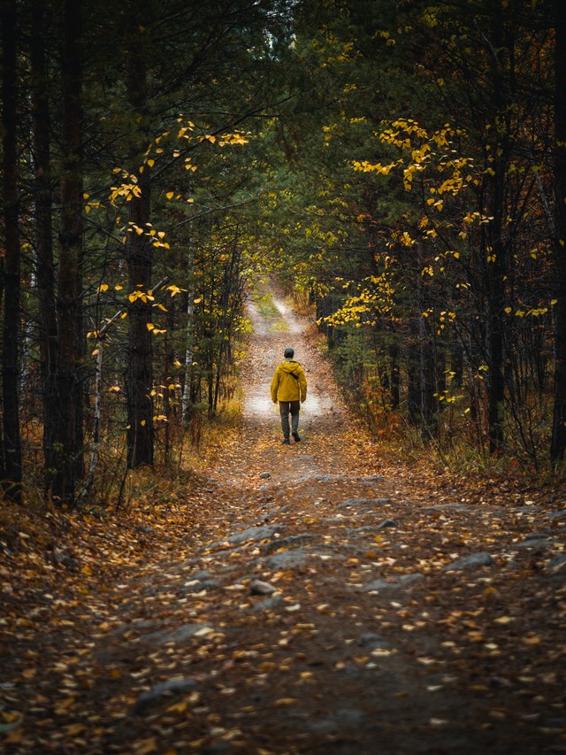 Foto oleh Vyacheslav Bobin: https://www.pexels.com/id-id/foto/pria-berjalan-hutan-pohon-12191882/