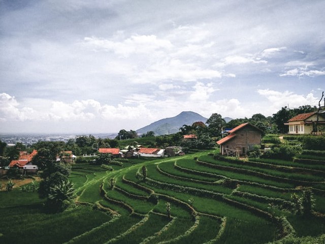 Antapura de Jati, wisata kekinian di Garut. sumber foto : unsplash/rumah di sawah.