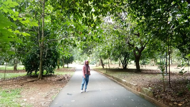 Ilustrasi suasana Kebun Raya Bogor. Sumber foto : Andini Putri Nurazizah.