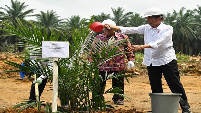 PRESIDEN Joko Widodo saat penanaman perdana pohon kelapa sawit di Rokan Hilir, tahun 2018.