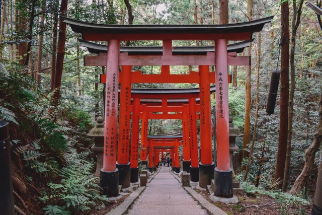 Torii- Gerbang Tradisional Jepang khas agama Shinto Sumber : https://unsplash.com/s/photos/shinto