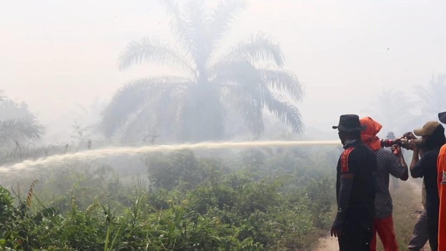Petugas berupaya memadamkan api yang membakar lahan gambut di Desa Puloe Kruet, Kecamatan Darul Makmur, Nagan Raya, Jumat (27/5/2022). Foto: Dok. acehkini