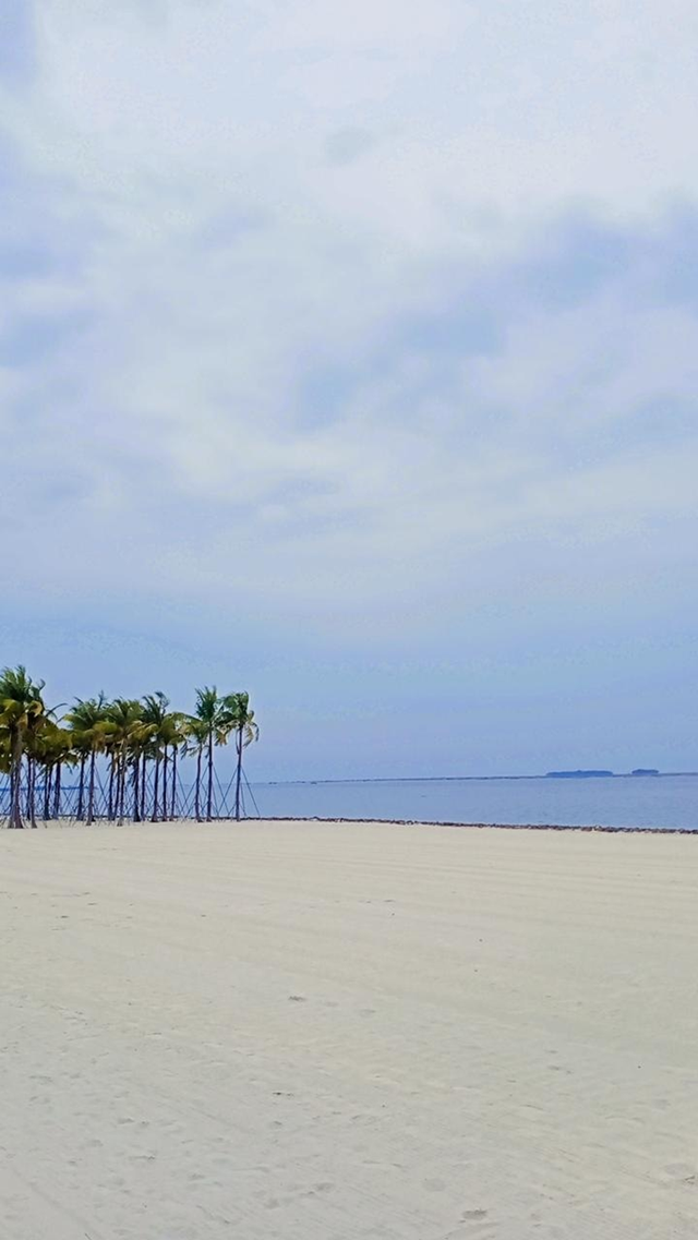 Ekosistem Pantai Salah Satu Ekologi Laut. Sumber: Dokumentasi Naila