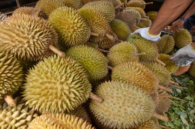 Harga Tiket Masuk Taman Buah Mekarsari, Foto: Unsplash.