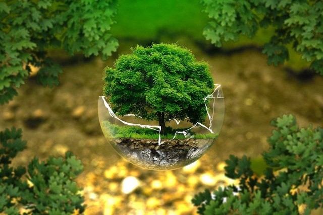 Ilustrasi Tema Event Hari Lingkungan Hidup Sedunia. (Foto: ejaugsburg by https://pixabay.com/id/)