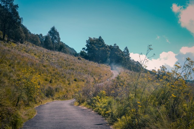 Wisata Pasuruan, Foto oleh Setyaki Irham di Unsplash