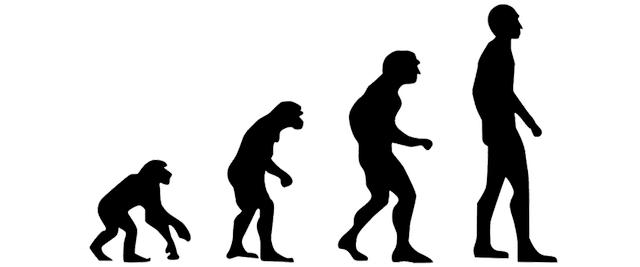 illustrasi teori evolusi. Sumber : https://pixabay.com