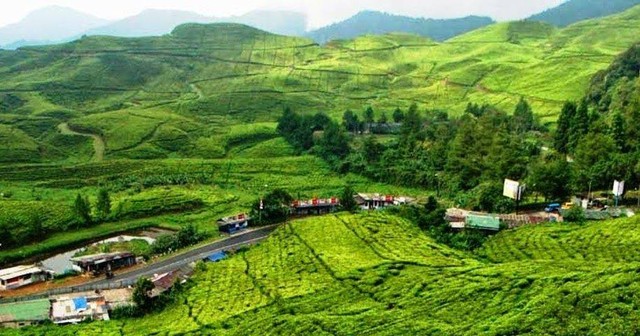 Suasana keindahan ketika berada di Puncak, Bogor Sumber: Dokumentasi pribadi Irpan Aripin ketika berada di Puncak