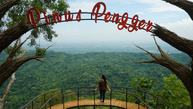 Hutan Pinus Pengger, Yogyakarta. Foto: arie widiastuti yoana/Shutterstock.
