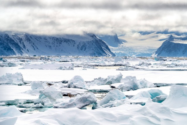 Ilustrasi Kutub Utara. Foto: Shutterstock