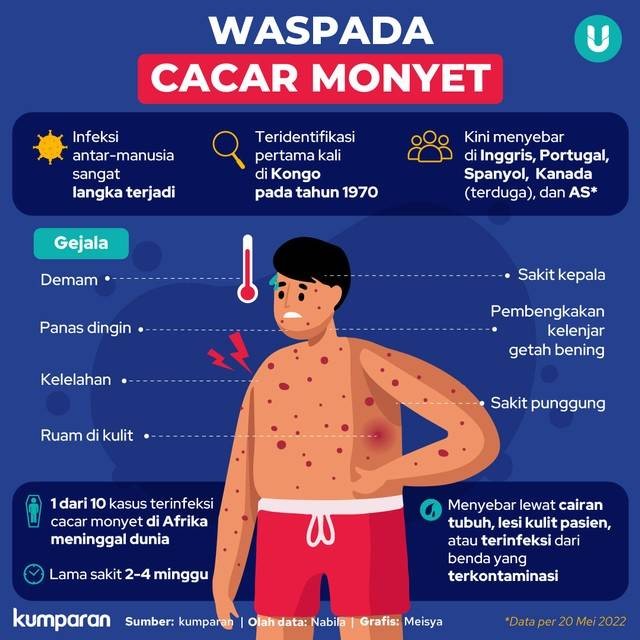 Infografis seputar cacar monyet. Foto: Kumparan