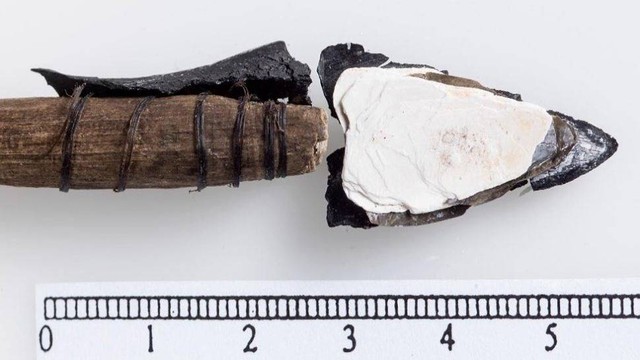 Sebuah anak panah ditemukan di lapisan es  Lopesfonna, Norwegia, ujung anak panah terbuat dari cangkang kerang. Foto: Dok. NTNU University Museum