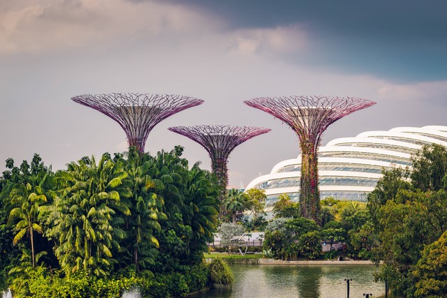 Gardens by the Bay, Foto: Unsplash/Daniel Welsh.