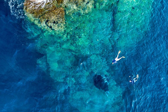 Ilustrasi wisatawan yang sedang snorkeling. Foto: Richard Whitcombe/Shutterstock