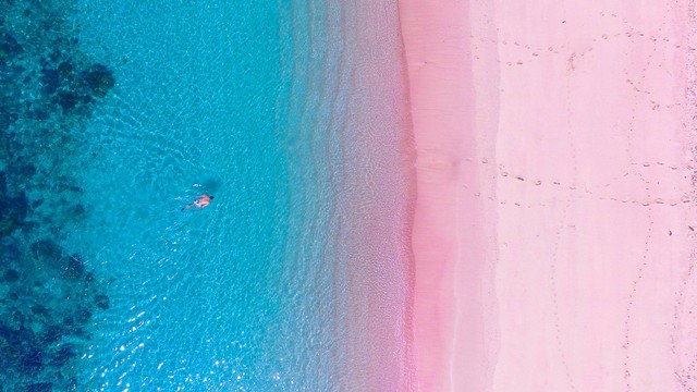 Wisatawan yang sedang snorkeling di Pink Beach, Labuan Bajo. Foto: raditya/Shutterstock