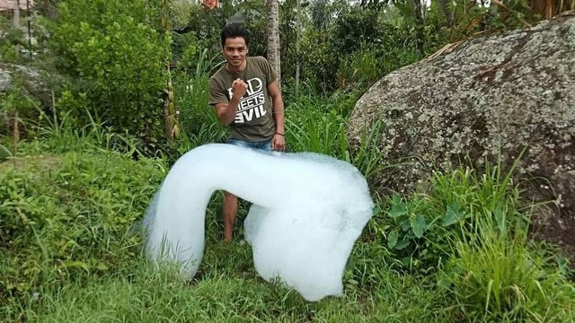 Gumpalan busa muncul di persawahan di Tana Toraja, Kamis (9/6/2022). Foto: Dok. Istimewa