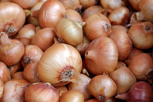 Ilustrasi bawang sebagai cara membersihkan pembuluh darah. Foto: Unsplash