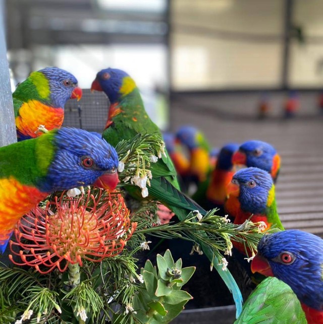 Rekomendasi Wisata Seru dan Menyenangkan di Margaret River, Australia