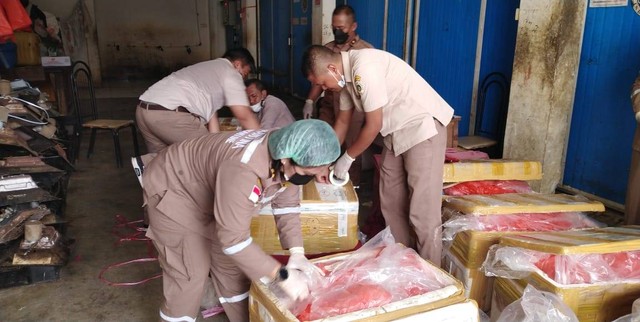Petugas SKP Karimun memeriksa box berisikan daging babi yang dikirim menggunakan kapal penumpang dengan tujuan Karimun. Foto: Khairul S/kepripedia.com