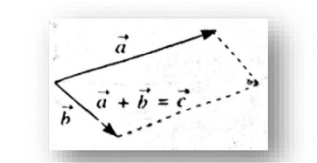 Contoh Soal Penjumlahan Vektor Dan Penyelesaiannya | Kumparan.com