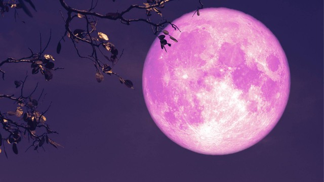 Bulan purnama berwarna pink. (Sumber: pixabay.com)