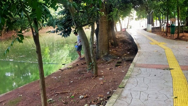 Pinggiran Danau Hutan Kota Srengseng. Sumber : dokumentasi pribadi