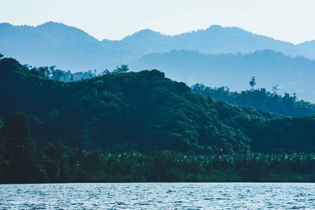Ilustrasi Daerah Wallacea. Foto: Shutter Stock
