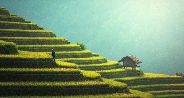 Ilustrasi: Manfaat Ecofarming bagi Lingkungan Hidup sumber: pixabay.com