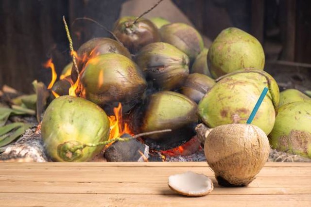 Ilustrasi kelapa dibakar di atas arang. Foto: Pixabay