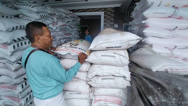 Rencana Penghapusan Pupuk Bersubsidi Ditolak Petani Bawang Merah Brebes ...