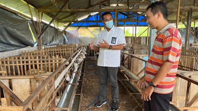 Manager PT PLN (Persero) Unit Pelaksana Pelayanan Pelanggan (UP3) Kudus, Darmadi, saat meninjau RPH yang manfaatkan limbah isi rumen untuk pupuk organik. Foto: istimewa