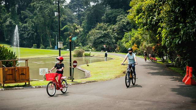 Wisatawan bersepeda di Kebun Raya Bogor. Foto: Joko SL/Shutterstock.