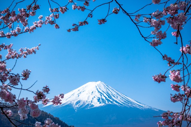 Daya Tarik Gunung Fuji, Foto: Unsplash/JJ Ying