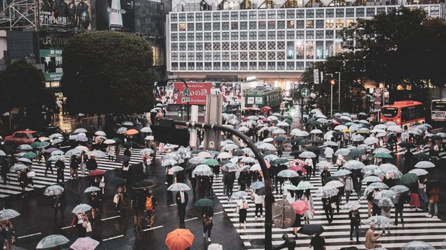 Ilustrasi Jepang. Foto: Unsplash