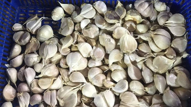 Ketersediaan bawang putih di Pasar Minggu, Jakarta Selatan. Minggu (18/6).
 Foto: Galang/kumparan