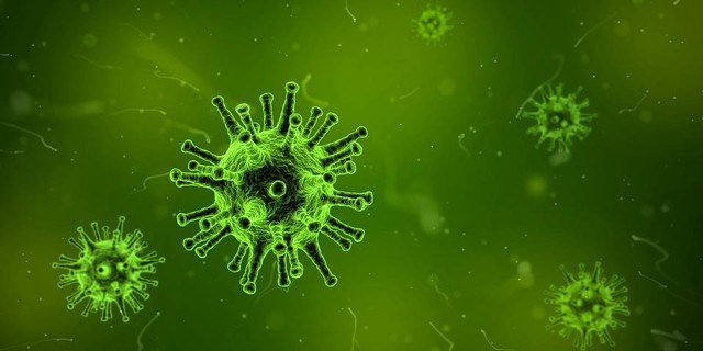 Ilustrasi virus penyakit. Foto: Pixabay