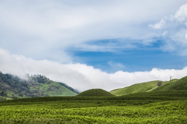 Harga Tiket Bukit Teletubbies Nusa Penida Terbaru 2022, Foto: Unsplash/Elfduadelapan