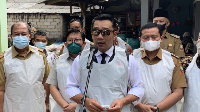 Gubernur Jawa Barat Ridwan Kamil saat meninjau vaksinasi hewan ternak di Tanjungsari, Sumedang, Jawa Barat, Senin (20/6). Foto: Ulfah Salsabila/kumparan