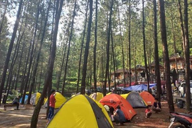 Camping di Guci Forest, Kabupaten Tegal. 