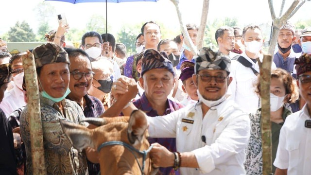 Menteri Pertanian Syahrul Yasin Limpo saat membagikan 100 ekor sapi dalam program bantuan reforma agraria di Desa Sumberklampok, Kecamatan Gerokgak, Kabupaten Buleleng, Provinsi Bali, Selasa (21/6/2022). Foto: Pemprov Bali
