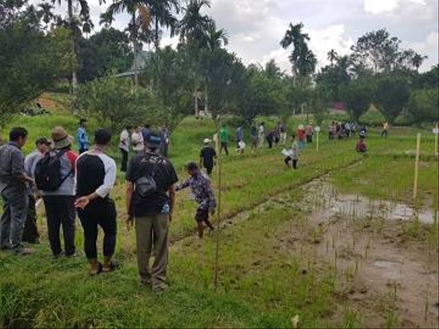 Fahutan IPB University Gandeng FIELD Indonesia Berikan Pelatihan Penyiapan Lahan Tanpa Bakar (PLTB) untuk Petani