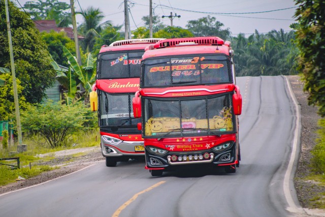 tour ke bali naik bus