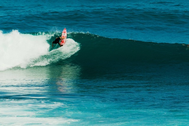 Biaya surfing di Bali, Foto oleh David Gor di Unsplash