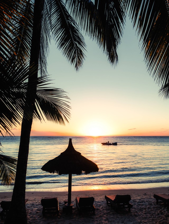 Kapan Jam Buka La Plancha Bali 2022? https://unsplash.com/@xaviercoiffic